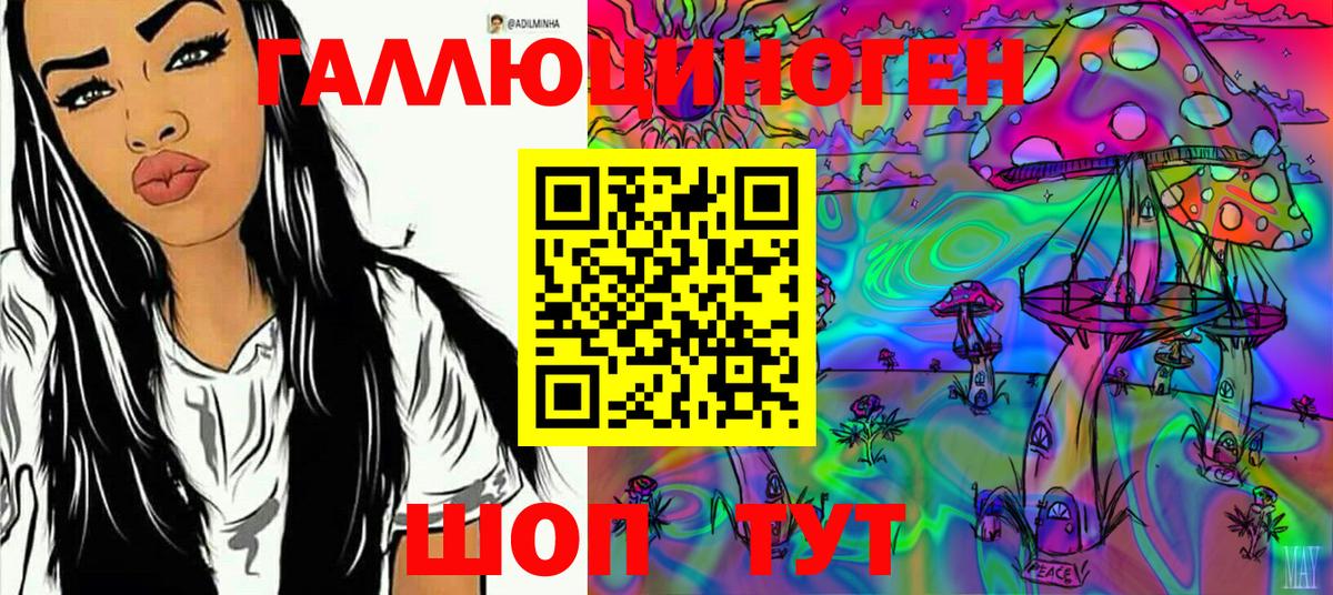 Галлюциногенные грибы Psilocybine cubensis  Вход с VPN  Псилоцибиновые грибы Cubensis  Троицк 